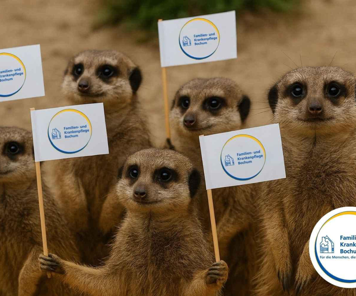 Erdmännchen halten Fahnen in der Hand mit dem Logo der Familien- und Krankenpflege. Bild ist KI generiert von Timm Alexander Jacobsen