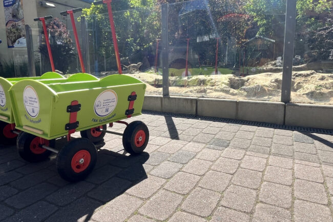 Bollerwagen die mit der Unterstützung der Familien- und Krankenpflege Bochum erworben wurden, stehen in der Sonne vor dem Ermännchengehege.