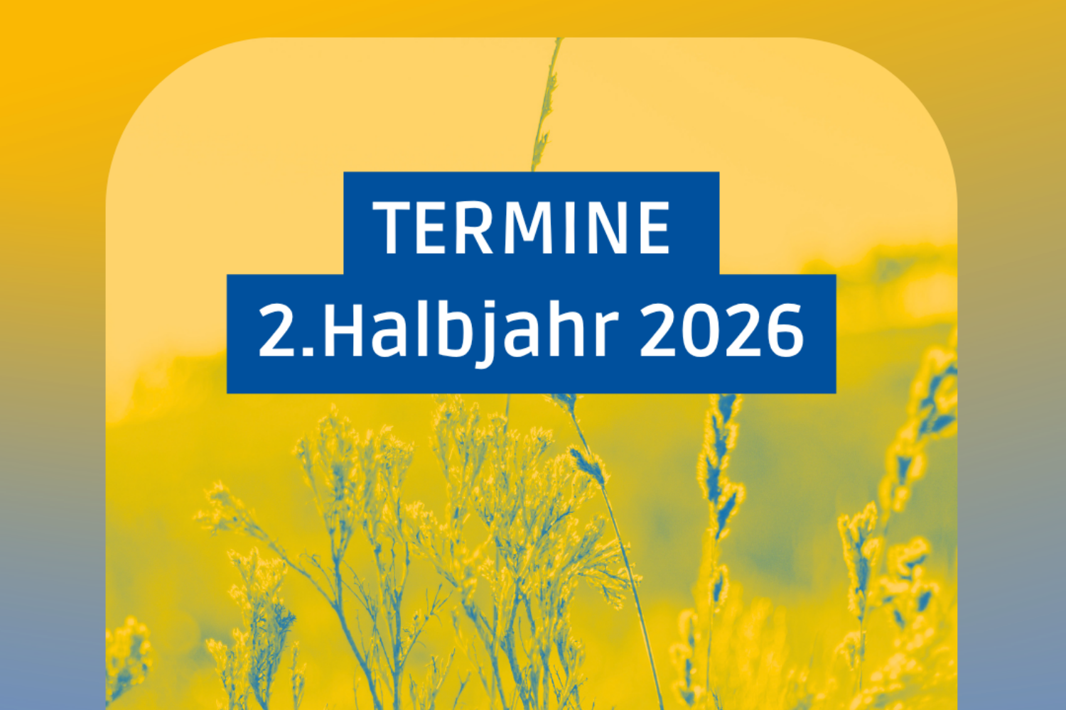 Die Termine der Quartiersentwicklung Hofstede in der zweiten Jahreshälfte 2026