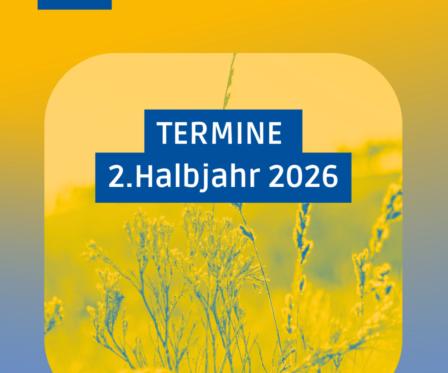 Die Termine der Quartiersentwicklung Hofstede in der zweiten Jahreshälfte 2026